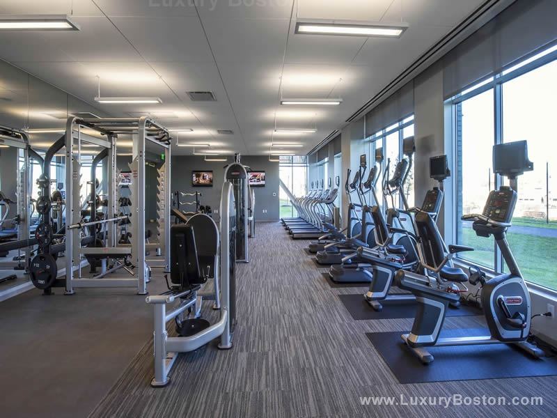 Luxury Boston Zinc Apartments Cambridge Boston Condos