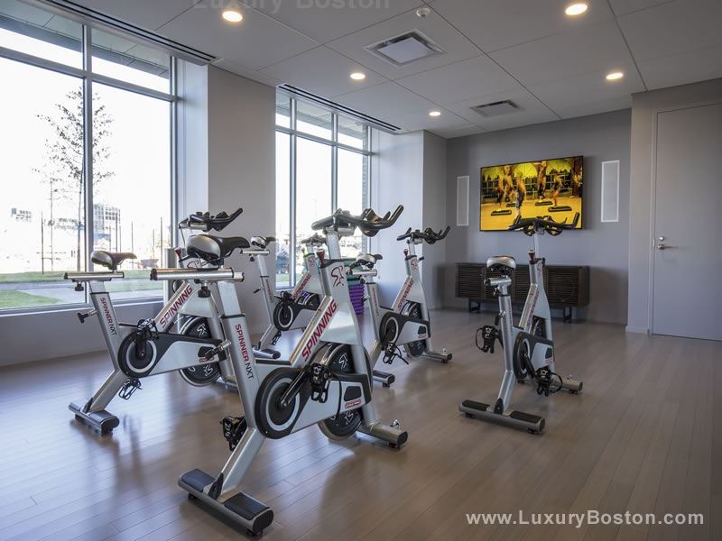 Luxury Boston Zinc Apartments Cambridge Boston Condos