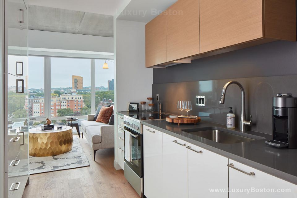 Luxury Boston The Harlo Apartments New Construction in Fenway