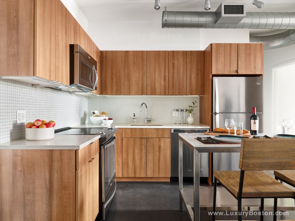 Luxury Boston Metro 9 New Condo Conversion in Somerville, MA Boston