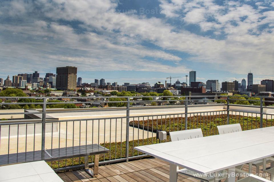 Luxury Boston Metro 9 New Condo Conversion in Somerville, MA Boston