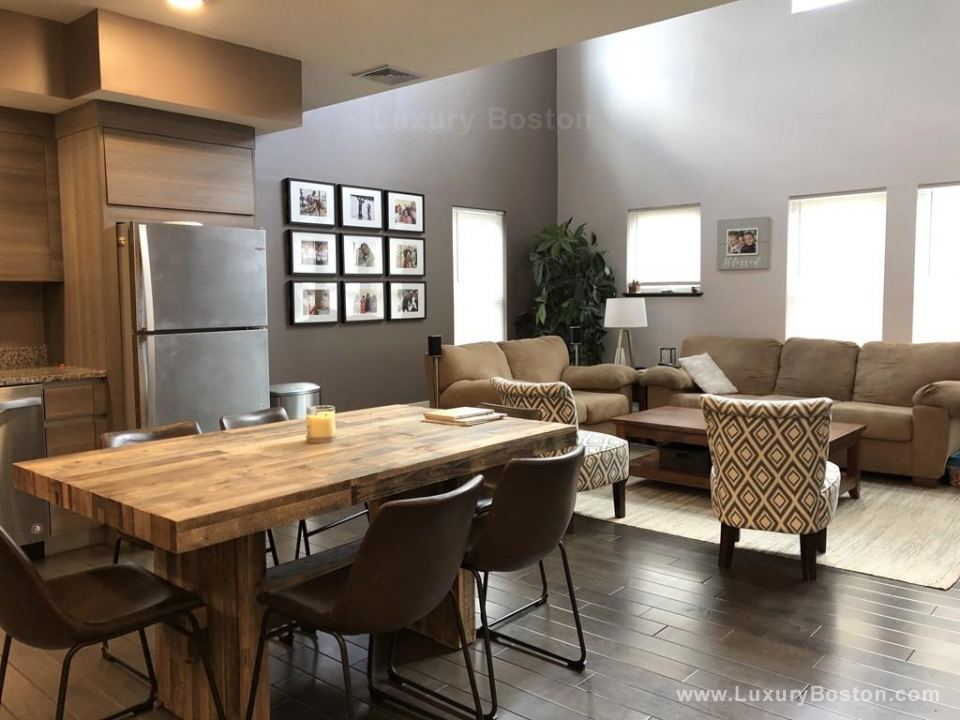 Luxury Boston River Park Lofts New Construction Loft Rentals in