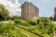 The Towers of Chestnut Hill,  Newton MA